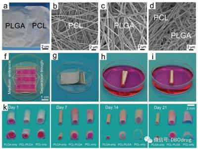 生物3D打印材料 合成材料在人造器官中的关键作用